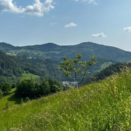 Cella **** * Zell im Wiesenthal